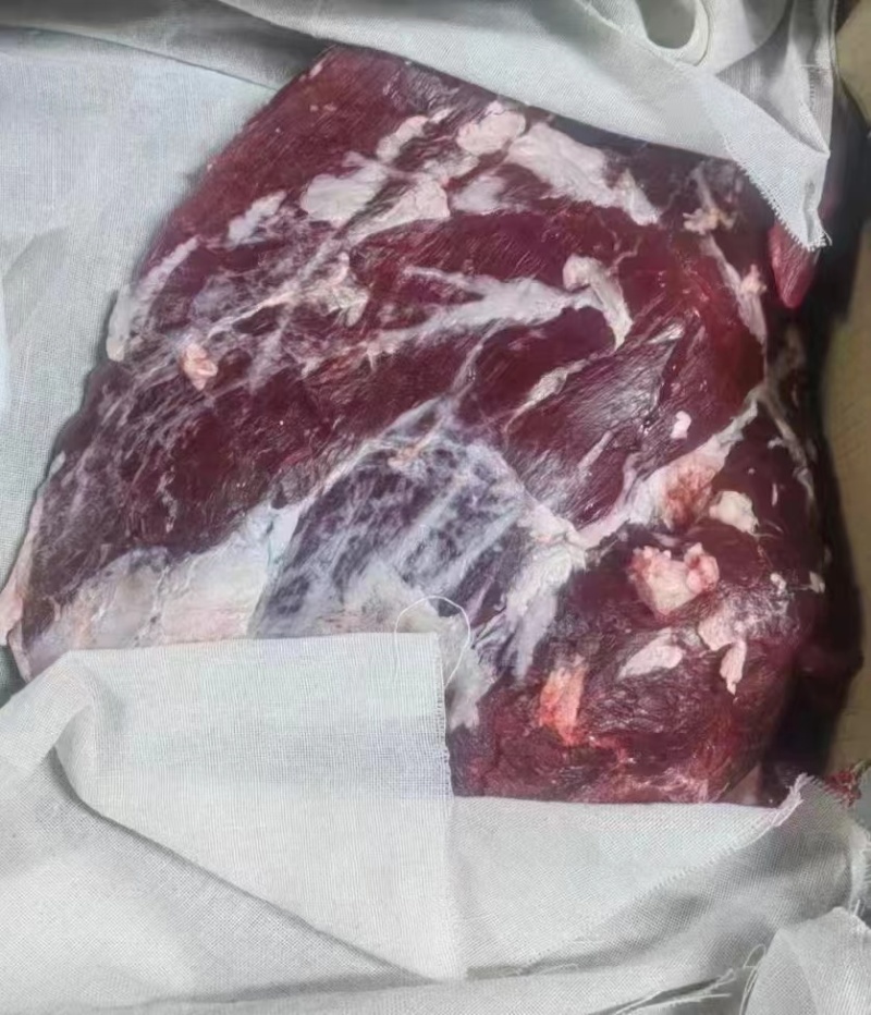 纯干鲜牛肉