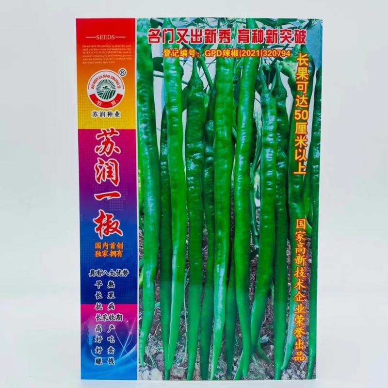 苏润508/509线椒种子加长特长辣椒种籽