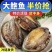 鲍鱼新鲜大号冷冻海鲜水产鲜活生鲍鱼商用鲍鱼鲍鱼鲍鱼鲍鱼鲍