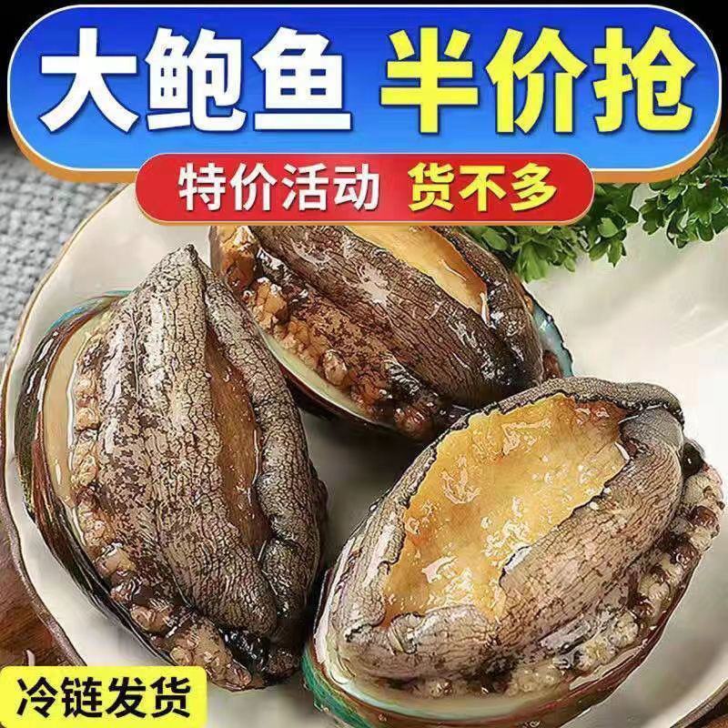 鲍鱼新鲜大号冷冻海鲜水产鲜活生鲍鱼商用鲍鱼鲍鱼鲍鱼鲍鱼鲍