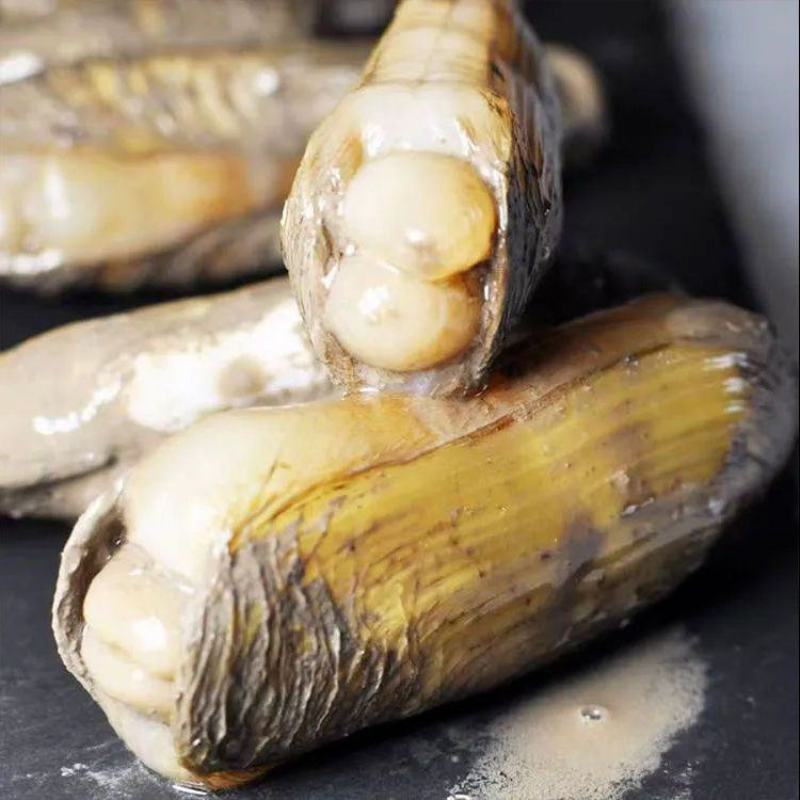 圣子王鲜活蛏子蛏新鲜蛏子现捞现发即食营养活发带壳包邮