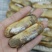 圣子王鲜活蛏子蛏新鲜蛏子现捞现发即食营养活发带壳包邮