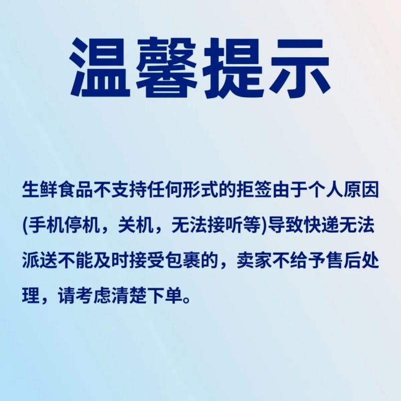 圣子王鲜活蛏子蛏新鲜蛏子现捞现发即食营养活发带壳包邮