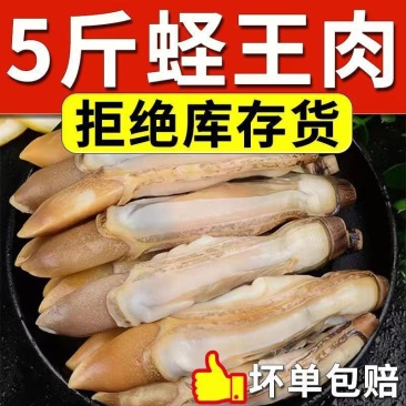 蛏子鲜活冷冻竹节蛏子现剥麻辣生蛏子肉贝类海鲜水产蛏王肉