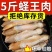 蛏子鲜活冷冻竹节蛏子现剥麻辣生蛏子肉贝类海鲜水产蛏王肉