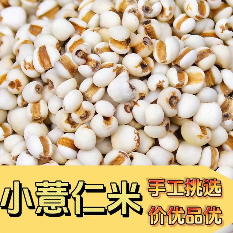 小薏仁米贵州今年特产优质米仁苡米仁小薏米搭配红豆赤豆五谷