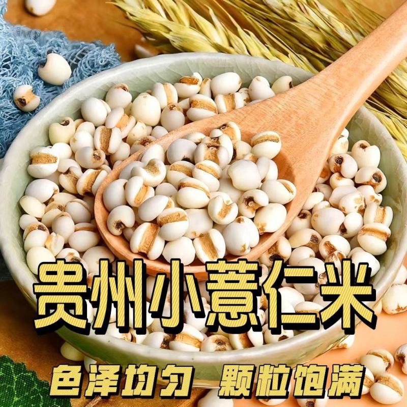 小薏仁米贵州今年特产优质米仁苡米仁小薏米搭配红豆赤豆五谷