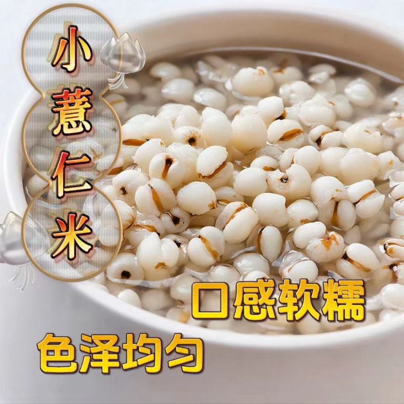 小薏仁米贵州今年特产优质米仁苡米仁小薏米搭配红豆赤豆五谷