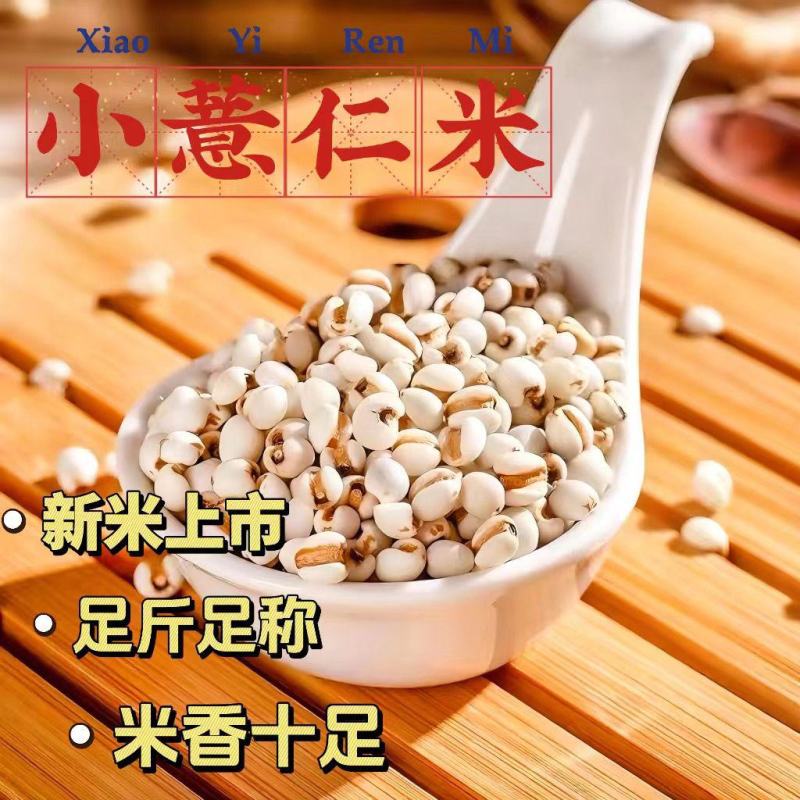 小薏仁米贵州今年特产优质米仁苡米仁小薏米搭配红豆赤豆五谷