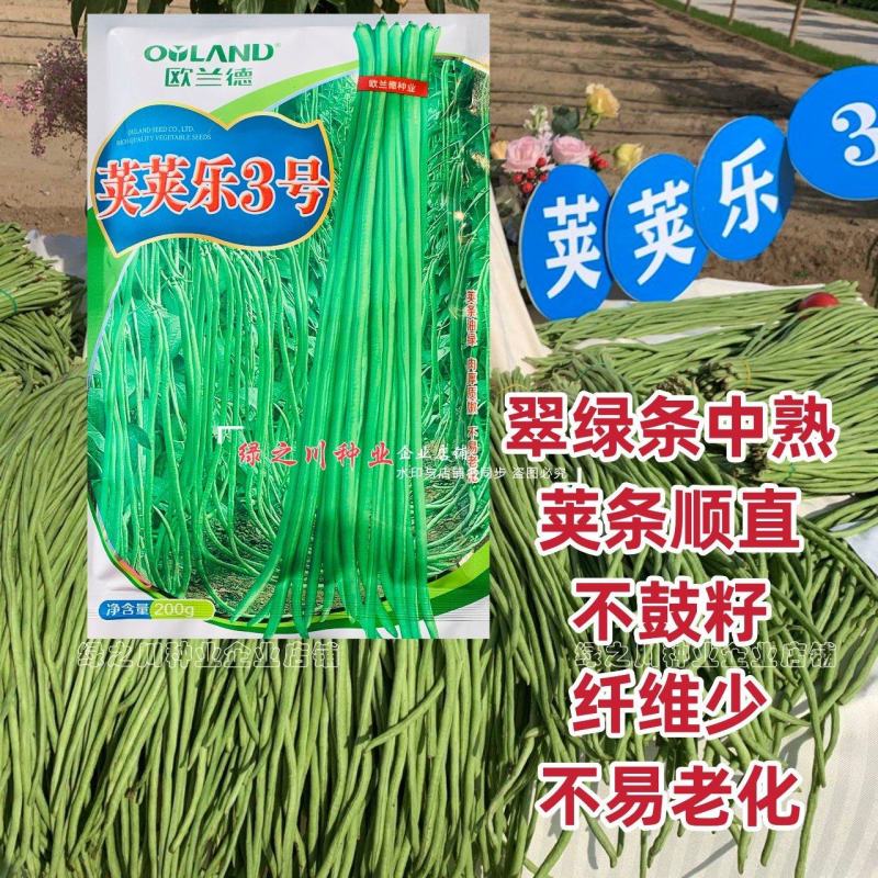 荚荚乐3号长豆角种子翠绿条豇豆种子荚条顺直不鼓籽纤维少