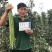 荚荚乐3号长豆角种子翠绿条豇豆种子荚条顺直不鼓籽纤维少