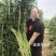 荚荚乐3号长豆角种子翠绿条豇豆种子荚条顺直不鼓籽纤维少