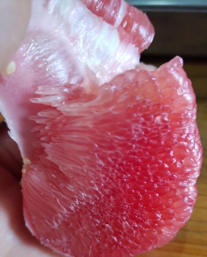 长期供应：红宝石青柚苗，越南青柚苗。