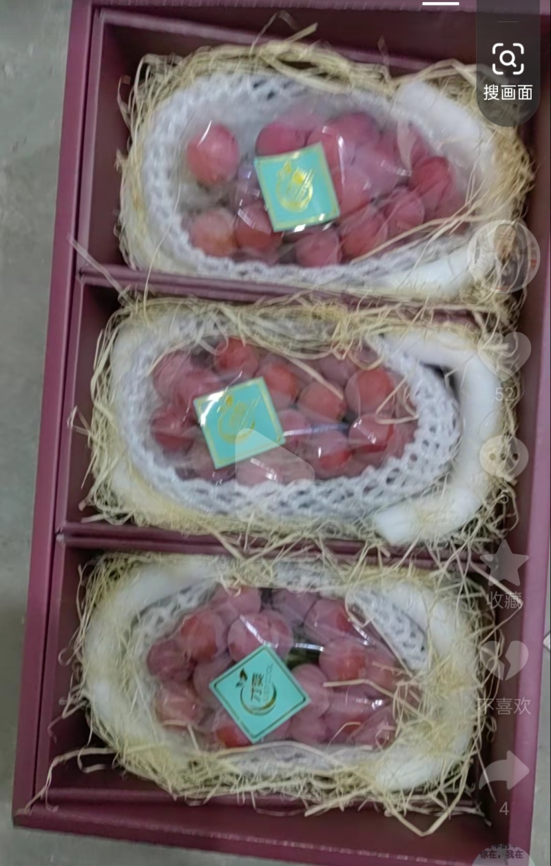 雨棚妮娜最后冲刺，