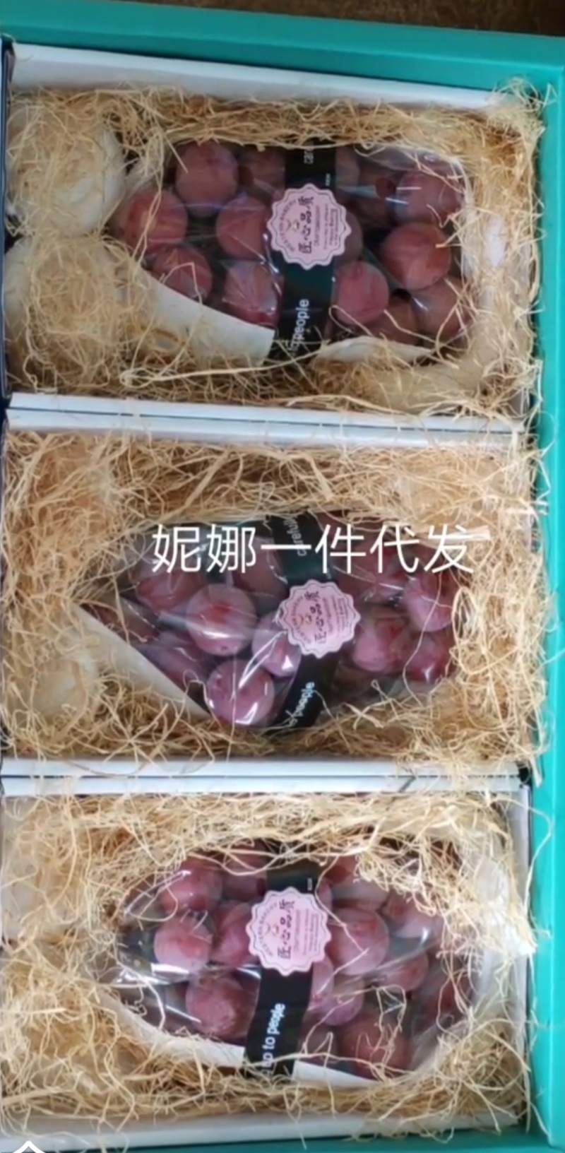 雨棚妮娜最后冲刺，