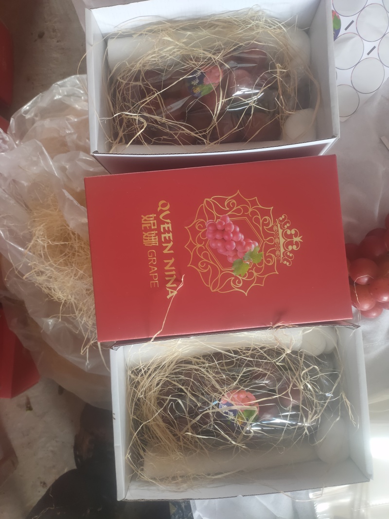 雨棚妮娜最后冲刺，