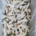 新鲜冷冻鹅爪优质大鹅爪鹅掌酒店卤菜店用包邮