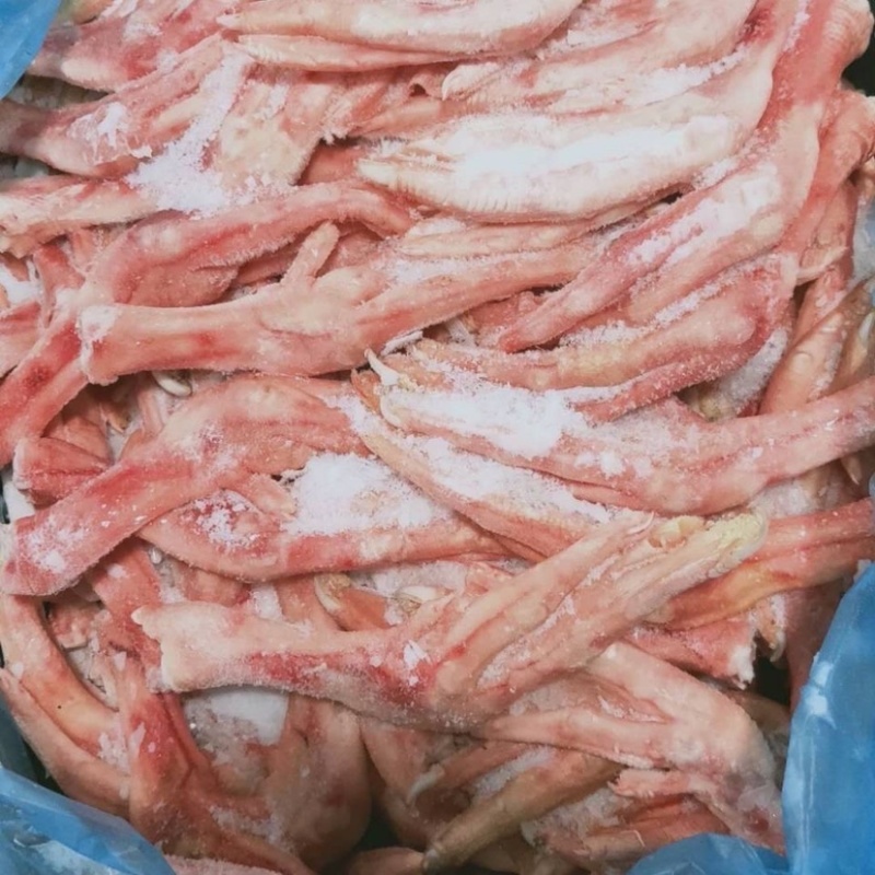 新鲜冷冻鹅爪优质大鹅爪鹅掌酒店卤菜店用包邮
