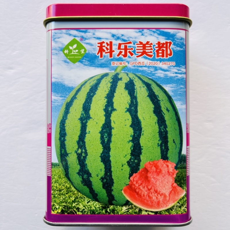 科乐美都西瓜种子大果型早熟大红瓤超甜