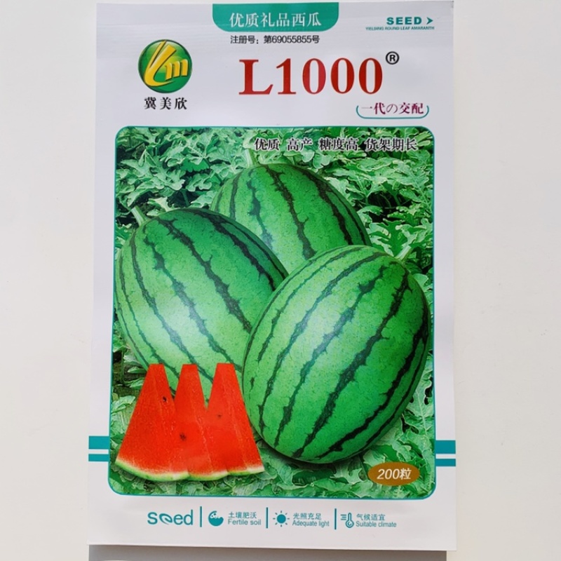 L600礼品西瓜种子早熟单果重4斤左右椭圆形耐裂