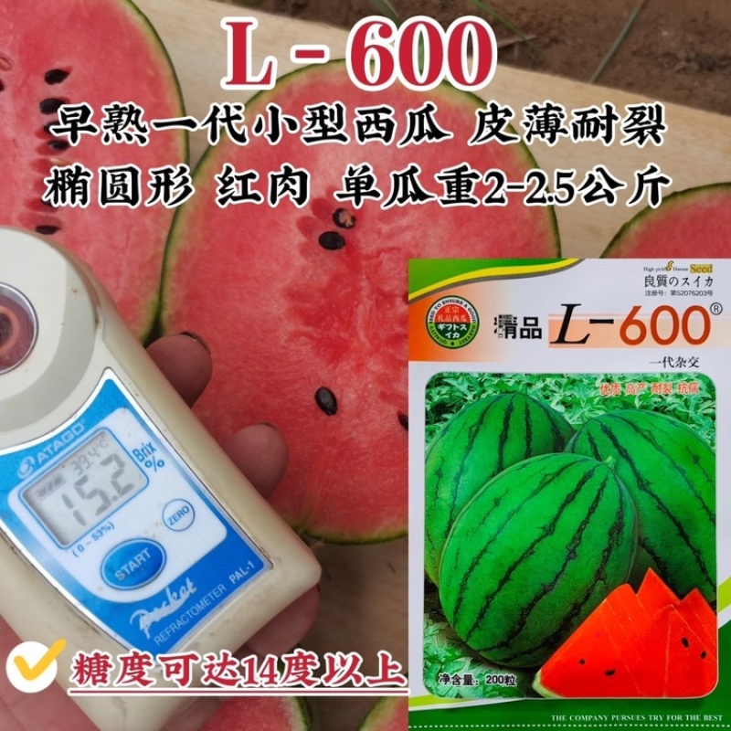 L600礼品西瓜种子早熟单果重4斤左右椭圆形耐裂