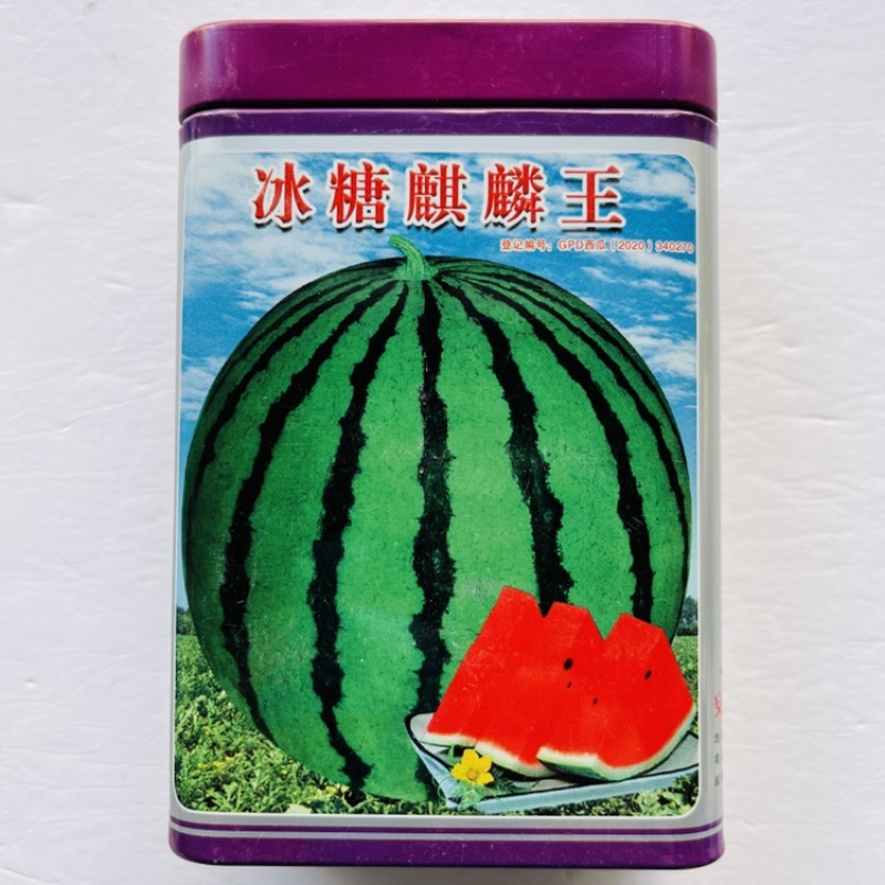 冰糖麒麟王西瓜种子高糖13度