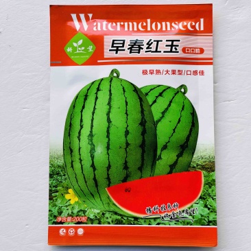 科望早春红玉西瓜种子早熟