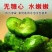 【腌黄瓜】【首单直降】小黄瓜咸菜无糖鲜脆可口小咸菜腌黄瓜