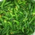 【腌黄瓜】【首单直降】小黄瓜咸菜无糖鲜脆可口小咸菜腌黄瓜
