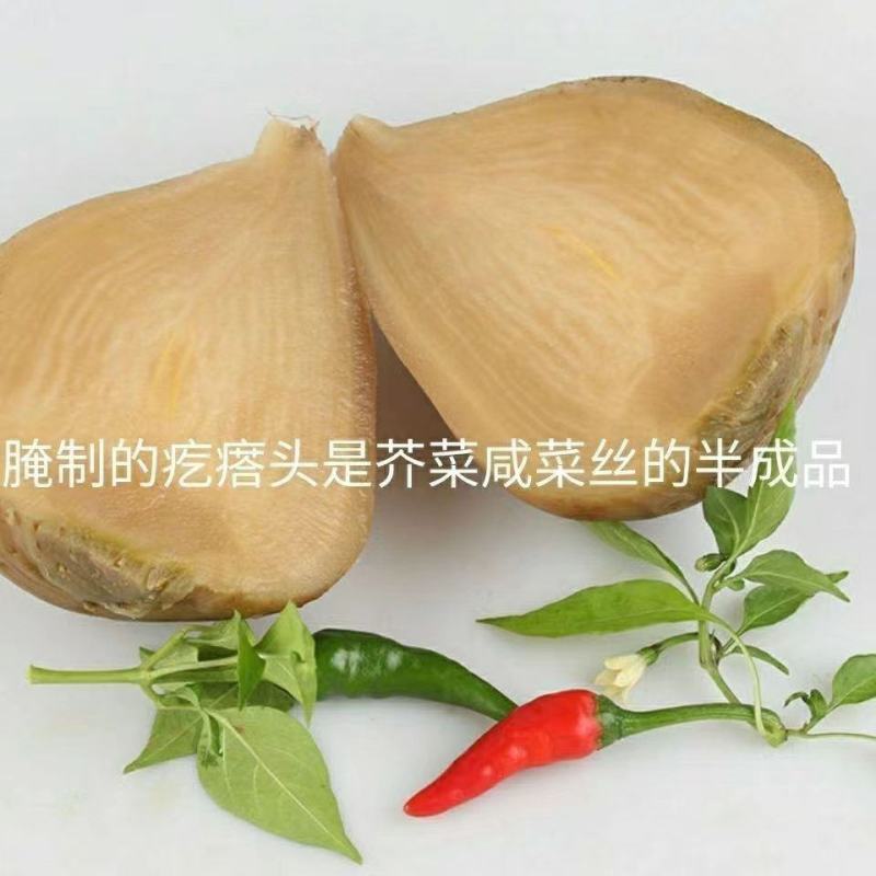 【腌芥菜】芥菜疙瘩头东北特产黑龙江小咸菜芥菜疙瘩丝新鲜腌