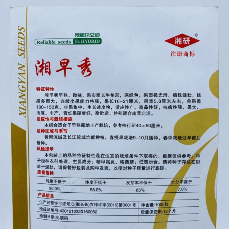 湘早秀牛角椒种子湘研十号圣冠早熟中微辣粗长牛角形