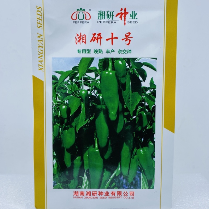 湘早秀牛角椒种子湘研十号圣冠早熟中微辣粗长牛角形