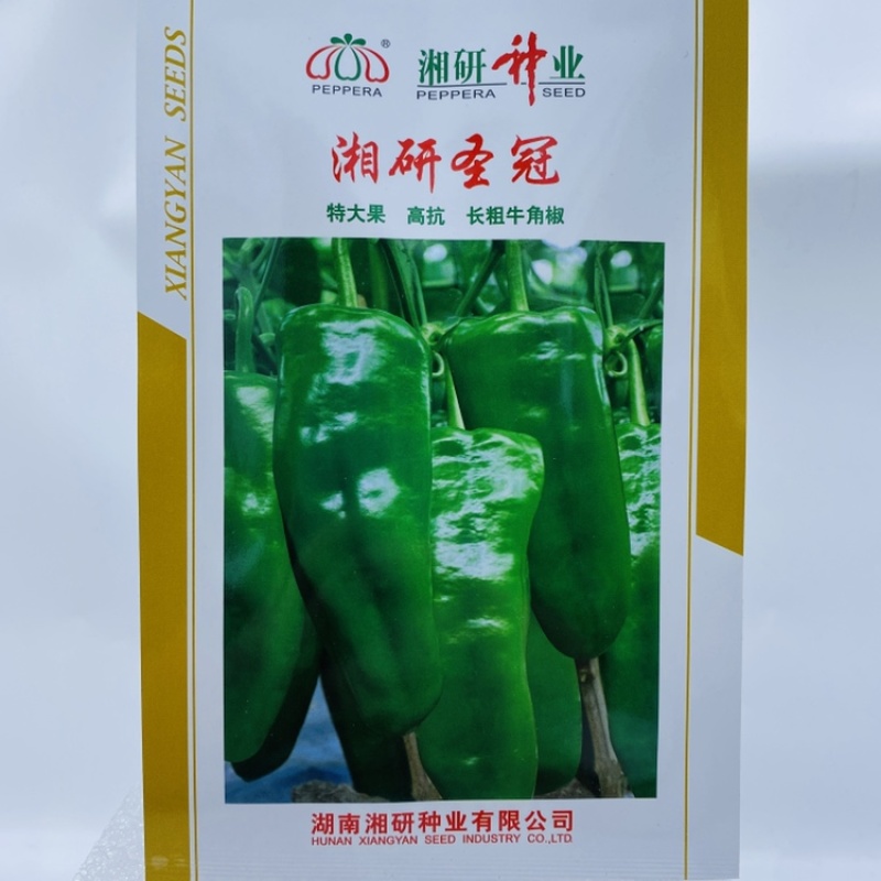 湘早秀牛角椒种子湘研十号圣冠早熟中微辣粗长牛角形