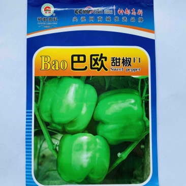 荷兰引进巴欧甜椒种子早中熟灯笼椒肉厚辣椒种子