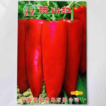 萧新映山红牛角椒种子粗长牛角形早熟可做红椒种植两用