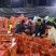 【推荐】海南精品哈蜜瓜晓蜜25糖度高一手货源可看货