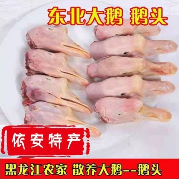 新鲜冷冻生鹅头整箱20斤仔鹅头大鹅头鹅副产品饭店商用包邮