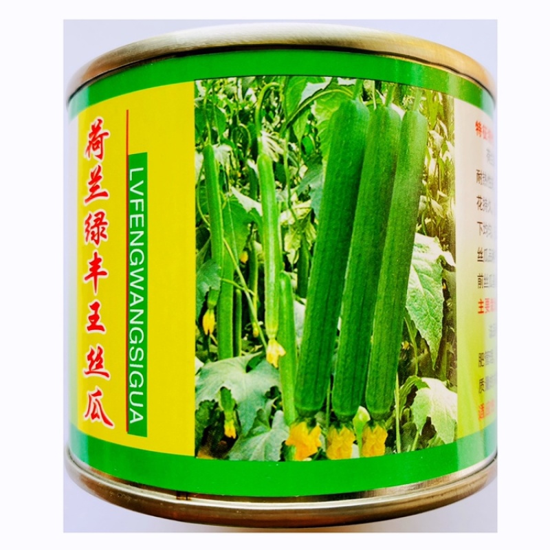 荷兰绿丰王鲜花丝瓜种子长香丝瓜种子耐寒耐热杂交