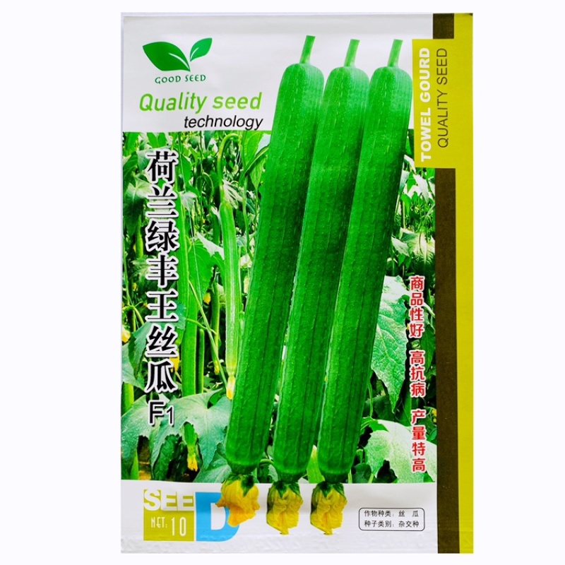 荷兰绿丰王鲜花丝瓜种子长香丝瓜种子耐寒耐热杂交