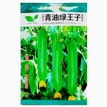 青油绿王子油亮丝瓜种子短棒香肉丝瓜荷兰引进