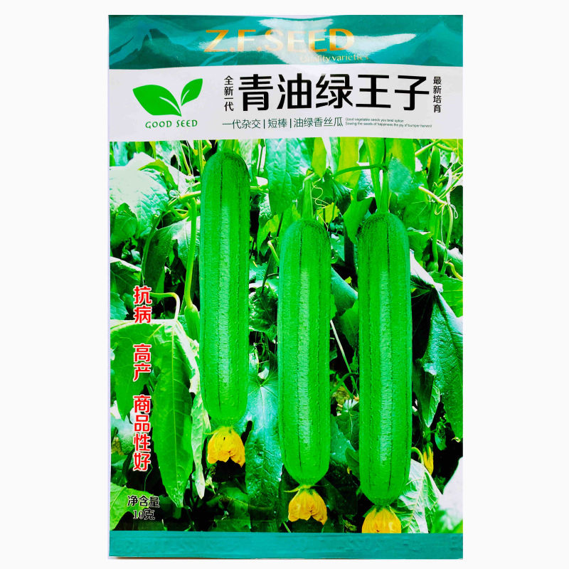 青油绿王子油亮丝瓜种子短棒香肉丝瓜荷兰引进