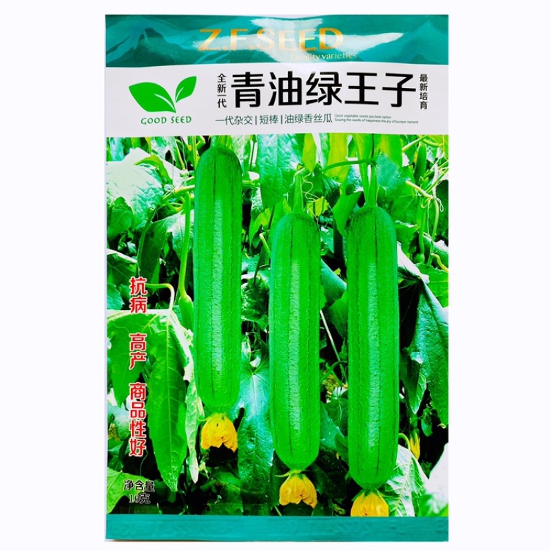 青油绿王子油亮丝瓜种子短棒香肉丝瓜荷兰引进