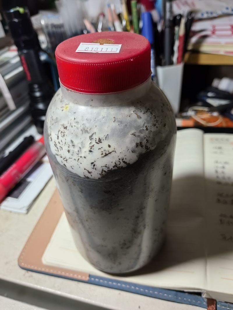 姬菇原种！800毫升标准塑料瓶装！栗木屑培养基！
