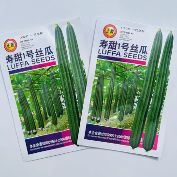 寿甜1号丝瓜种子棱丝瓜种子口感脆甜