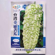 台湾奇丽珍珠白苦瓜种子杂交高产中熟苦瓜籽