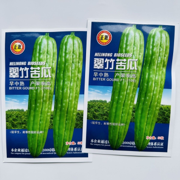 翠竹苦瓜种子广东正源大肉油绿身苦瓜种子高产顺直