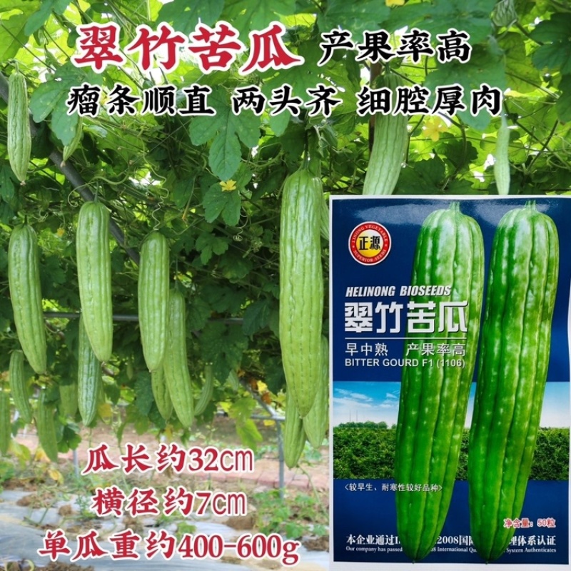 翠竹苦瓜种子广东正源大肉油绿身苦瓜种子高产顺直