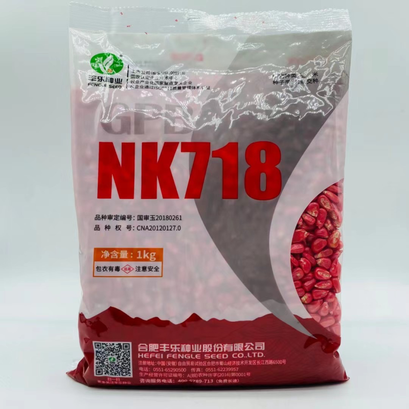 丰乐NK718玉米种子国审矮杆抗倒伏大马齿吨粮品种