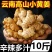 云南小黄姜新鲜姜现挖生姜罗平土姜月子姜老嫩姜蔬菜整箱