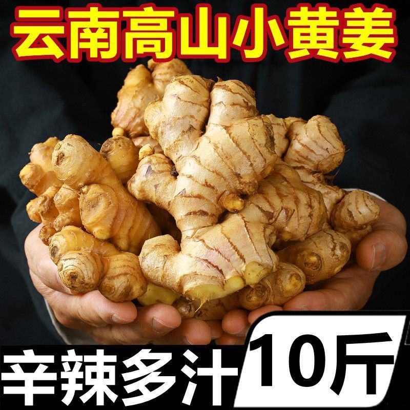 云南小黄姜新鲜姜现挖生姜罗平土姜月子姜老嫩姜蔬菜整箱